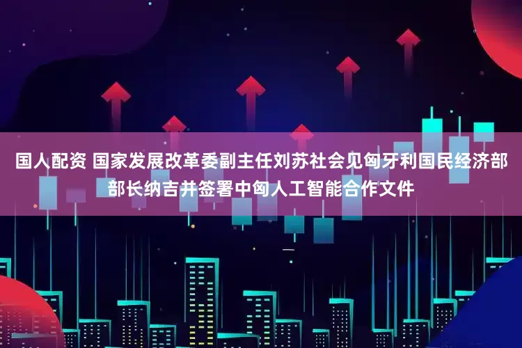 国人配资 国家发展改革委副主任刘苏社会见匈牙利国民经济部部长纳吉并签署中匈人工智能合作文件