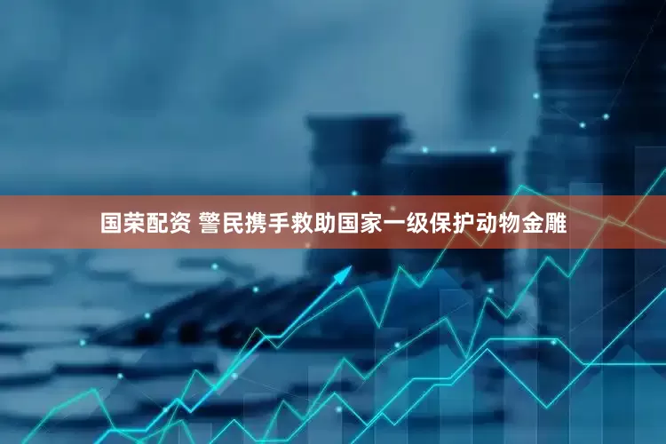 国荣配资 警民携手救助国家一级保护动物金雕