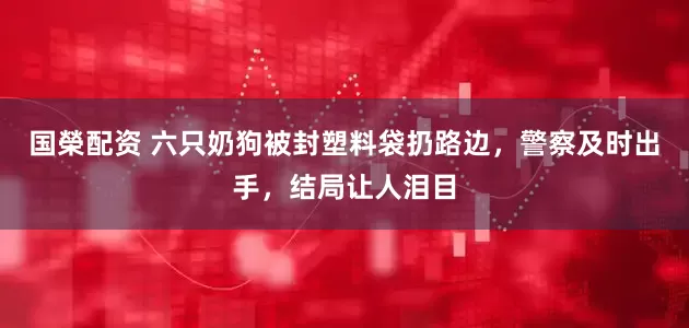 国榮配资 六只奶狗被封塑料袋扔路边，警察及时出手，结局让人泪目