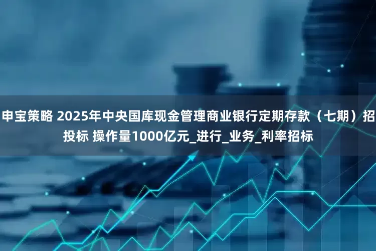 申宝策略 2025年中央国库现金管理商业银行定期存款（七期）招投标 操作量1000亿元_进行_业务_利率招标